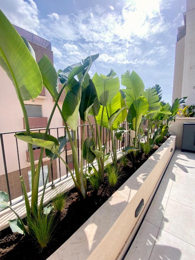 Hotel-Apartment With Big Terrace Palma Kültér fotó